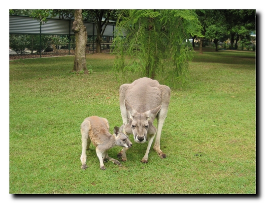 23 Mama mit Kind
